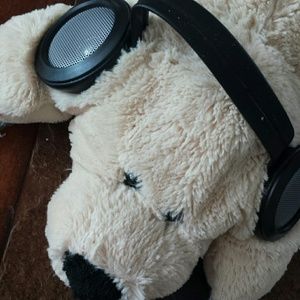 Selling a teddy bear with speakers